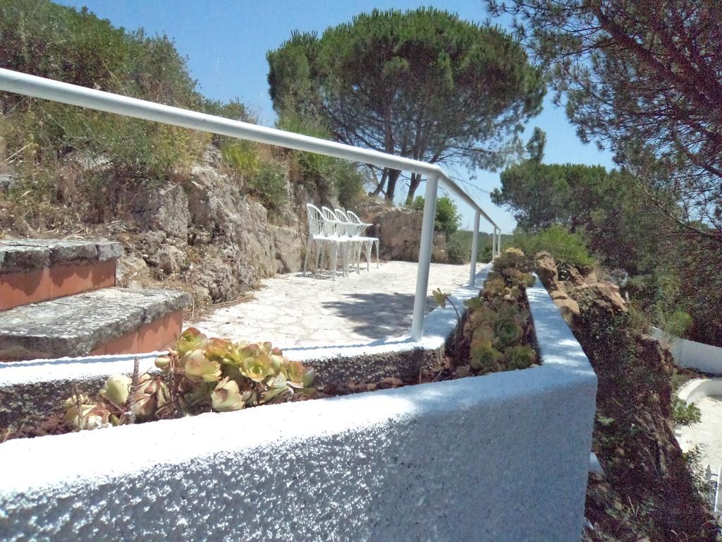 Villa Branca Do Castelo Сесимбра Экстерьер фото